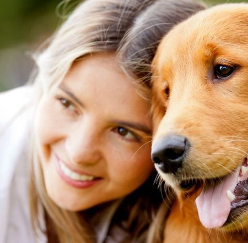 Most Loved Dog Breeds