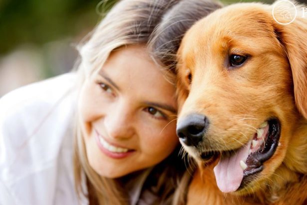 Most Loved Dog Breeds
