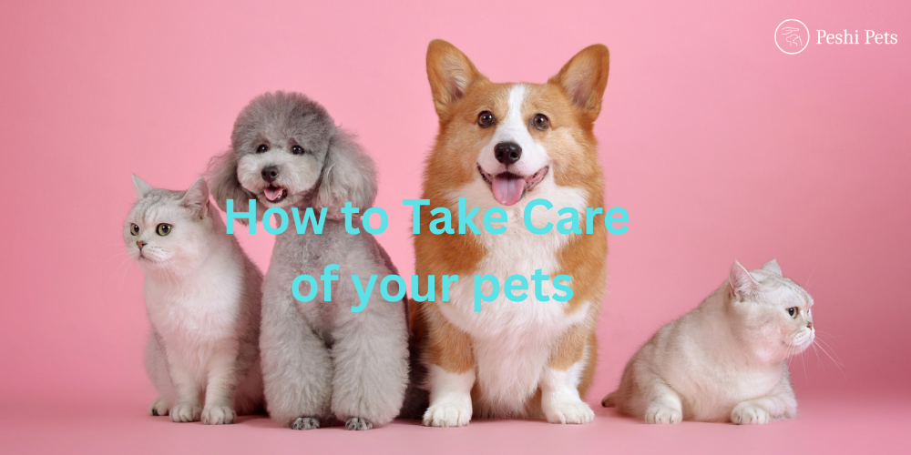 Care guide for pets