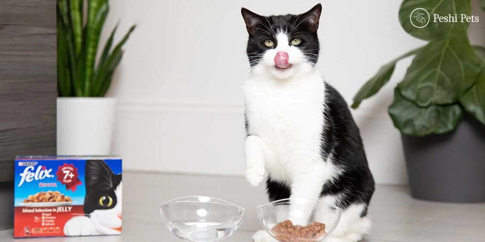 healthy diet for elderly cat