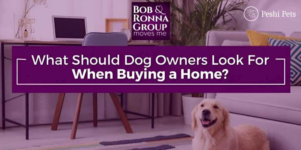 what to know before getting a pet