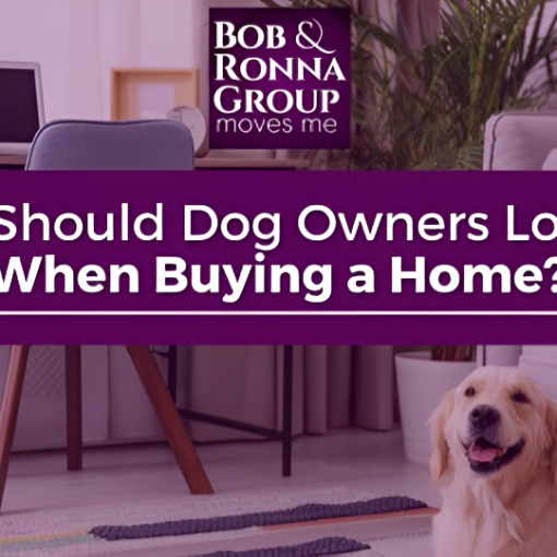 what to know before getting a pet