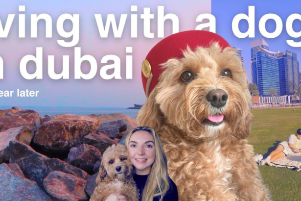 Living in Dubai with a Dog